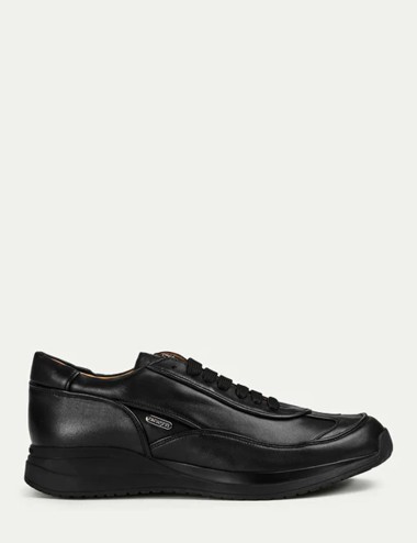 Story Paciotti sneakers black