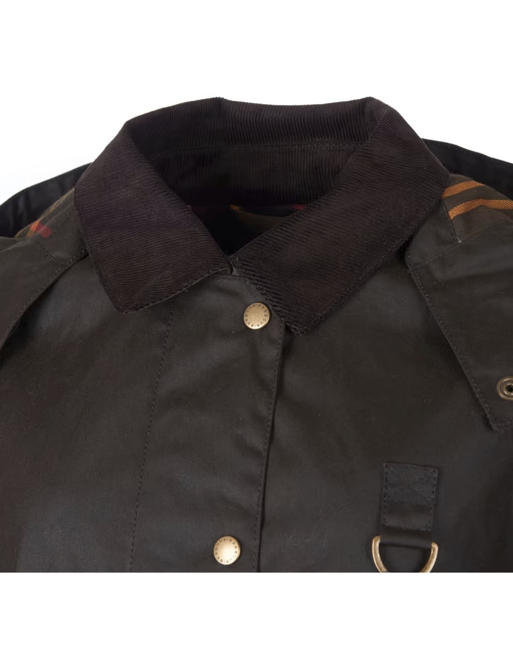 Avon Waxed Jacket OLIVE CLASSIC