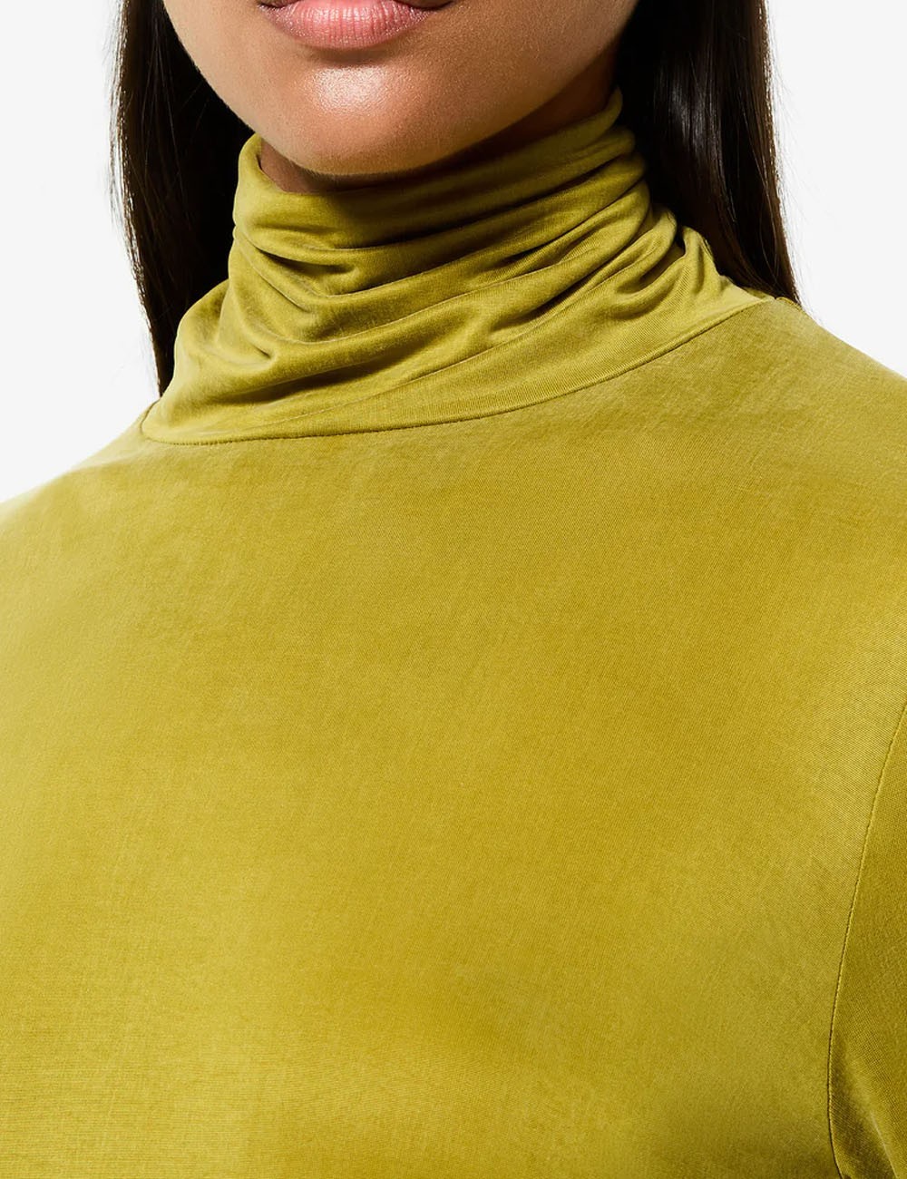 Maglia Cupro Turtle Wom Shirty fern