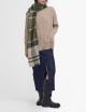 Sciarpa Blair Tartan Ancient Loden