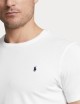 T-shirt in jersey di cotone bianco