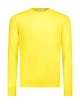 Maglia girocollo in cotone extrafine yellow